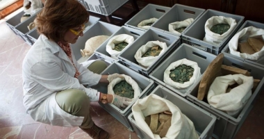 Galerie foto / 600 de kilograme de monede romane, descoperite întâmplător în sudul Spaniei - 2