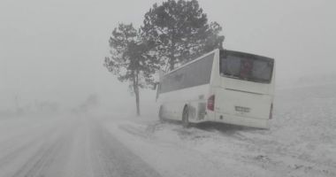 COD PORTOCALIU DE VISCOL / Polițiștii recomandă transportatorilor să nu mai plece în curse!