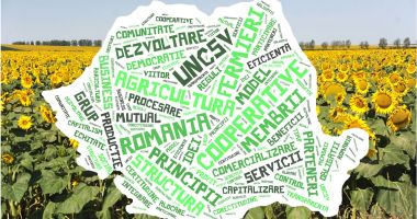 Stire din Economie : Avantajele fermierilor organizați în cooperative