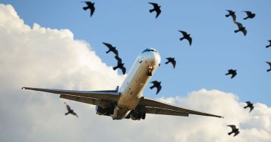 Stire din Actualitate : Avion Wizz Air care efectua o cursă Iaşi - Bologna s-a întors din zbor după ce a lovit o pasăre