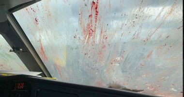 IMAGINILE ZILEI surprind o aeronavă ATR 72-500 - 2