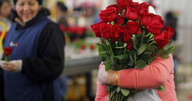 Stire din Sănătate : Simbolul Valentine’s Day, impact puternic asupra calității mediului