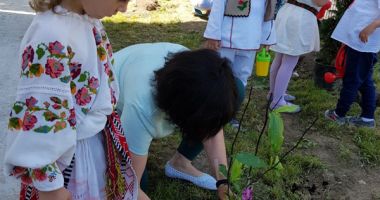 "Constanța, orașul de la mare", proiect organizat la Grădinița Azur - 3