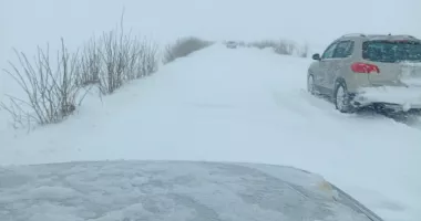 Viscolul paralizează tot județul. Trafic blocat și pene masive de curent - 3