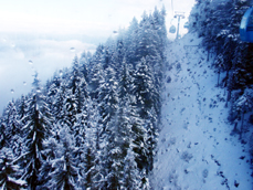 Bansko - invitație pe pârtia de schi - 4