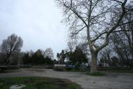 Stire din Social : Parcurile Constanței, dezastrul de după iarnă