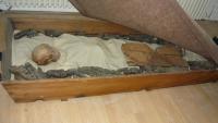 Stire din Cultură-Educație : "Sala funerară" a Muzeului de Istorie Națională și Arheologie Constanța este redeschisă publicului