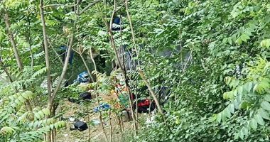 Intervenție a Poliției Locale, noaptea trecută, pe Valea Portului - 2