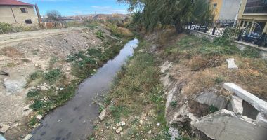 Stire din Social : Orașul Babadag își întărește apărarea împotriva inundațiilor