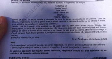 Subiectele de la proba de Limba română de Bacalaureat 2020, sesiunea de toamnă - 3