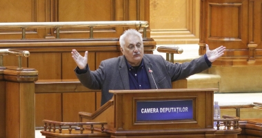 SCENE OBSCENE ÎN PARLAMENT / Deputat suspendat șase luni din PSD - 2