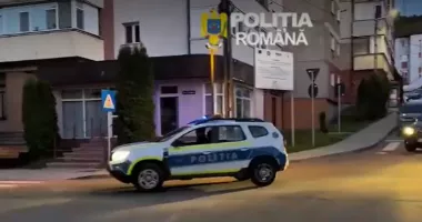 Stire din Eveniment : Percheziții într-un dosar de tăieri ilegale de lemne. Zeci de metri cubi de material lemnos descoperiți