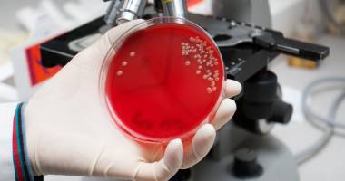 Stire din Sănătate : A fost descoperită o bacterie rezistentă la toate antibioticele