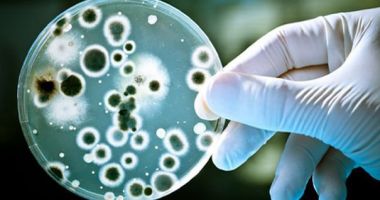 Stire din Social : ALERTĂ! O nouă superbacterie rezistentă la toate antibioticele se răspândește în spitale!