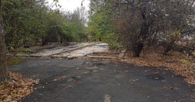 Mica junglă! Gunoaie, mizerie și câini vagabonzi  în loc de Sală Polivalentă - 11