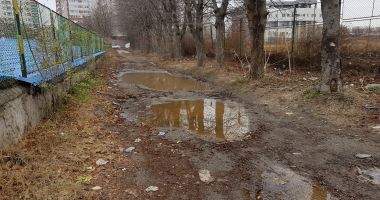 Mica junglă! Gunoaie, mizerie și câini vagabonzi  în loc de Sală Polivalentă - 9