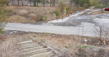 Mica junglă! Gunoaie, mizerie și câini vagabonzi  în loc de Sală Polivalentă - 5