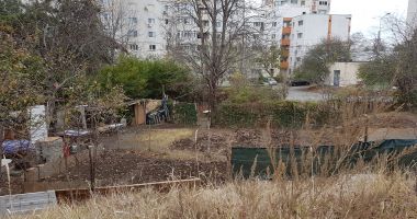 Mica junglă! Gunoaie, mizerie și câini vagabonzi  în loc de Sală Polivalentă - 7