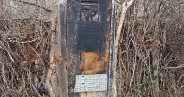 Mica junglă! Gunoaie, mizerie și câini vagabonzi  în loc de Sală Polivalentă - 8