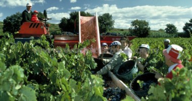 Stire din Actualitate : Guvernanții spanioli continuă reformarea pieței muncii, cu noi măsuri pentru angajări