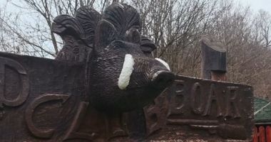 Stire din Actualitate : Cine a participat la vânătoarea bogaților lumii, organizată de Ion Țiriac
