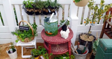 Stire din Diverse : Balconul, oaza de relaxare... estivală