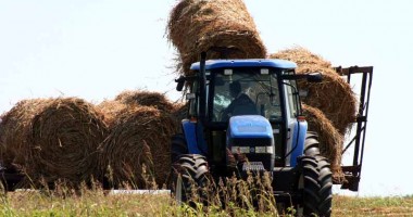 Stire din Economie : Noi finanțatori pentru beneficiarii subvențiilor de stat din domeniul agriculturii