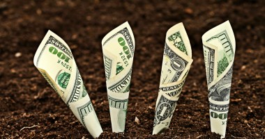 Stire din Economie : Câți bani au ajuns anul acesta la fermieri