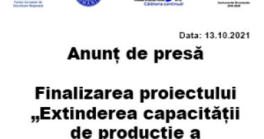 Maria Stavrositu și-a depus candidatura pentru președinte - 12