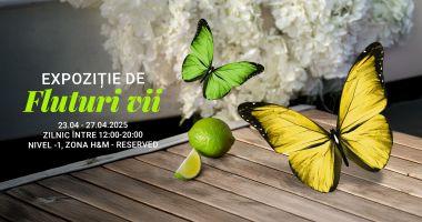 Stire din Social : City Park Mall Constanța revine cu două expoziții spectaculoase: fluturi tropicali și reptile exotice