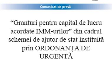 Deputatul Zanfir Iorguș a marcat "Ziua Mării Negre" alături de 100 de elevi - 3