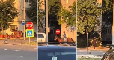 Stire din Eveniment : De necrezut! Un bărbat călare pe cal a fost urmărit de polițiști înarmați pe străzi