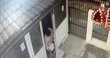Stire din Eveniment : Caz uluitor! Un bărbat de 40 de ani surprins în timp ce fura bijuteriile decedaților