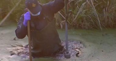 Stire din Eveniment : Barosul cu care hoții tezaurului dacic au dat spargerea la muzeul Drents, găsit în mlaștină de criminaliști