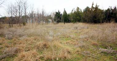 Baza fantomelor! La Triunghi, buldozerul e scăparea - 4