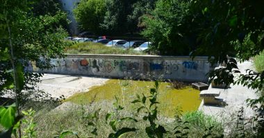 Broaște și mizerie în Tomis Nord! Bazinul de înot abandonat  de autorități - 3