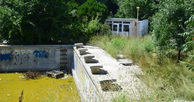 Broaște și mizerie în Tomis Nord! Bazinul de înot abandonat  de autorități - 4