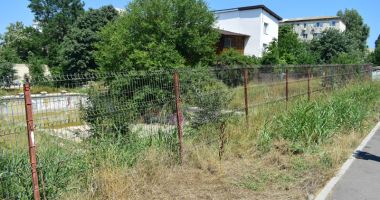 Broaște și mizerie în Tomis Nord! Bazinul de înot abandonat  de autorități - 5