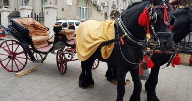 GALERIE FOTO! Sute de oameni la slujba de Bobotează! - 4