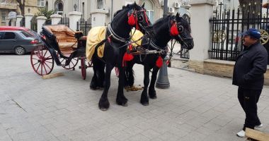 GALERIE FOTO! Sute de oameni la slujba de Bobotează! - 6