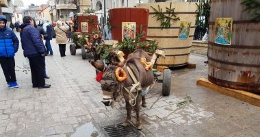GALERIE FOTO! Sute de oameni la slujba de Bobotează! - 7