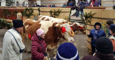 GALERIE FOTO! Sute de oameni la slujba de Bobotează! - 3