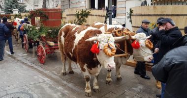 GALERIE FOTO! Sute de oameni la slujba de Bobotează! - 2