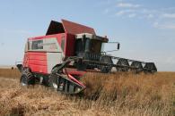 Stire din Economie : Producția de grâu din județul Constanța a scăzut cu peste 60%, în 2009