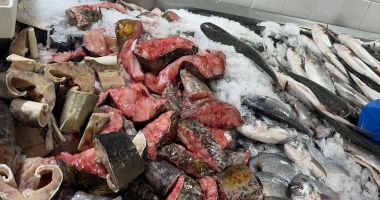 Dosare penale pentru braconaj piscicol - 2