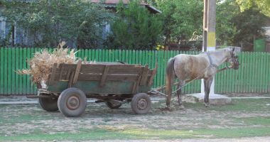 Stire din Eveniment : Bebeluș de numai o lună, găsit fără suflare în căruța părinților săi