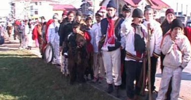 Stire din Eveniment : Sute de oameni s-au călcat în picioare pentru banii lui Gigi Becali  VIDEO