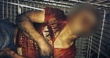 Stire din Actualitate : Copil rom bătut crunt în Paris / "M-au sunat și mi-au spus că e mort"