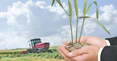 Stire din Economie : Beneficiarii Campaniei 2021 pot ridica adeverinţele de la APIA