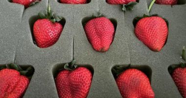 IMAGINI INCREDIBILE! Produse obișnuite, ambalate uluitor